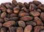 Какао-бобы ферментированные Перу