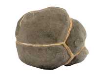 Декоративная окаменелость # 37022 камень септарии