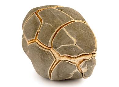 Декоративная окаменелость # 37025 камень септарии